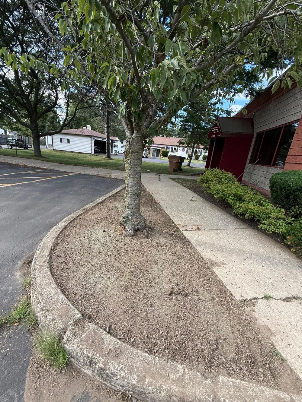 Tree Removal Buffalo NY by Rolax Landscaping in Buffalo, NY