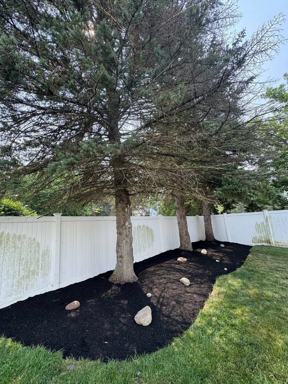 Mulching service example: Mulched Tree and Shrub Beds in Buffalo, NY